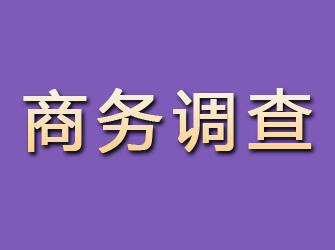 遂宁商务调查