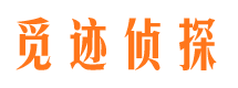 遂宁市调查公司